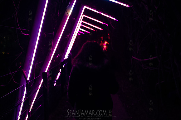 Adventure Day - Grounds For Sculpture - NightForms - NJ - 2023