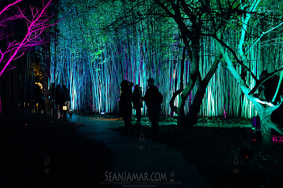 Adventure Day - Grounds For Sculpture - NightForms - NJ - 2023