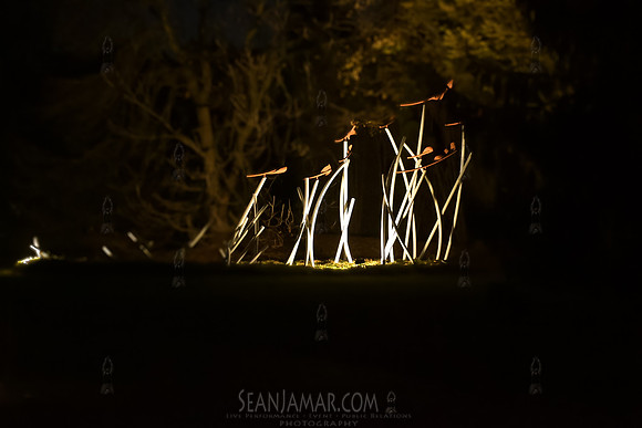 Adventure Day - Grounds For Sculpture - NightForms - NJ - 2023