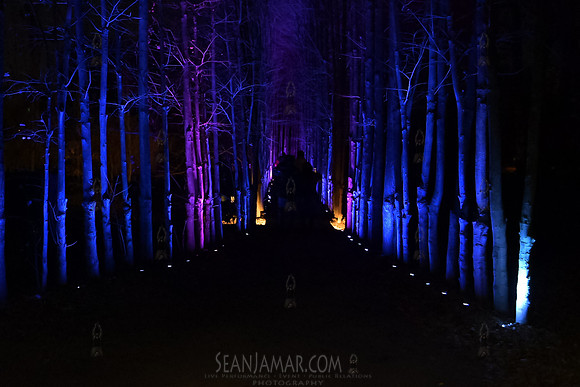 Adventure Day - Grounds For Sculpture - NightForms - NJ - 2023
