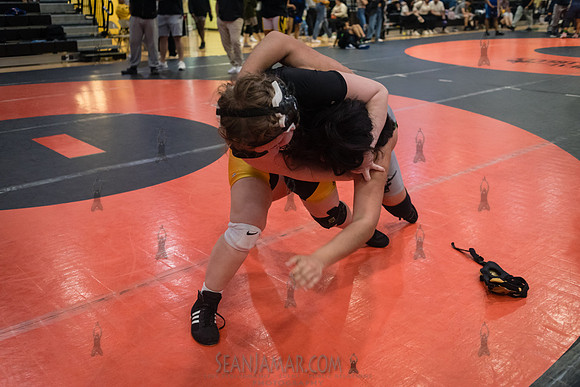 PSAL Girls Individual Championships - Harry S Truman HS - NYC -