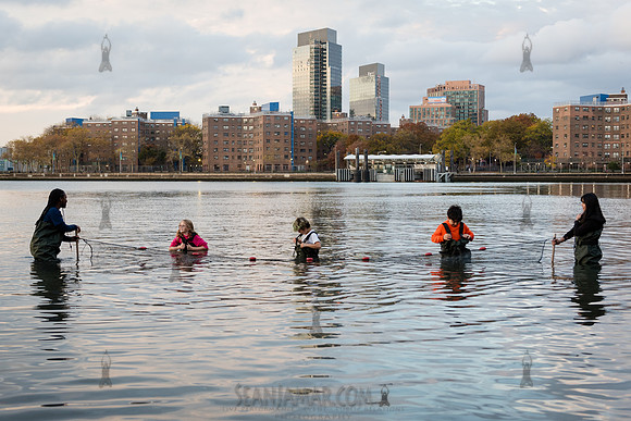 CPF Learn - Coastal Classroom - Hallets Cove - NYC - 2024