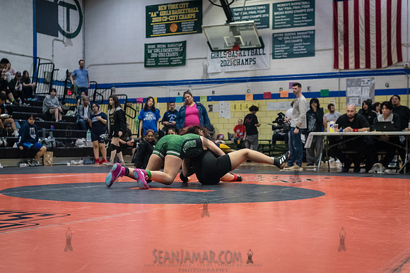 PSAL Girls Individual Championships - Harry S Truman HS - NYC -