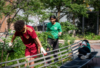 CPF - Coastal Classrooms - Bushwick Inlet Park - NYC - 2025