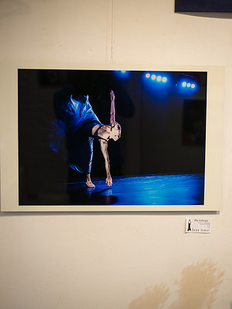 Panel Shots - Ward Nasse Gallery - Soho NYC - 2015