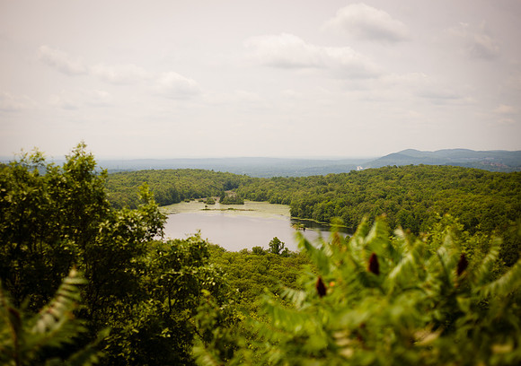 Adventure Day - Ramapo Mountain State Forest - Oakland NJ - 2015