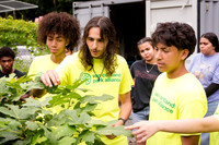 NYC Green Fund - Van Cortlandt Park Alliance Intern Training - V