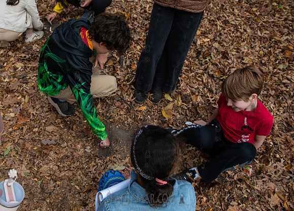 CPF Learn - Seeds To Trees - Prospect Park - NYC - 2024