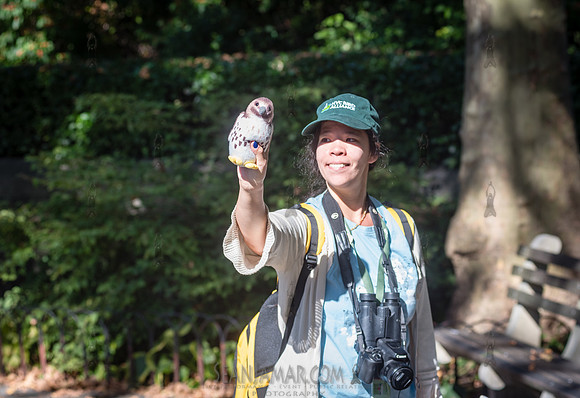 CPF Green Fund - NYC Bird Alliance Accessible Birding - Ft Tryon