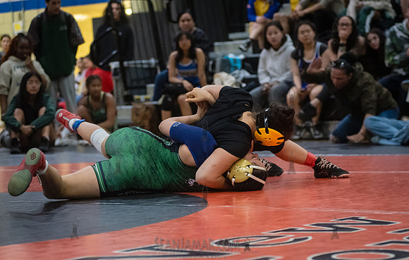 PSAL Girls Individual Championships - Harry S Truman HS - NYC -