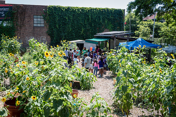 CPF Learning Gardens - Abib Newborn - NYC -2025