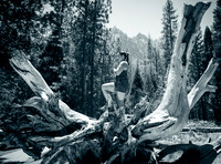 Adventure Day - Cathedral Beach Picnic Area - Yosemite National Park - Yosemite Valley CA - 2017