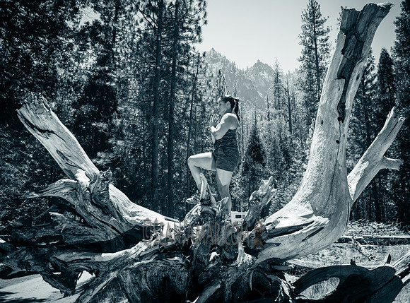 Adventure Day - Cathedral Beach Picnic Area - Yosemite National Park - Yosemite Valley CA - 2017