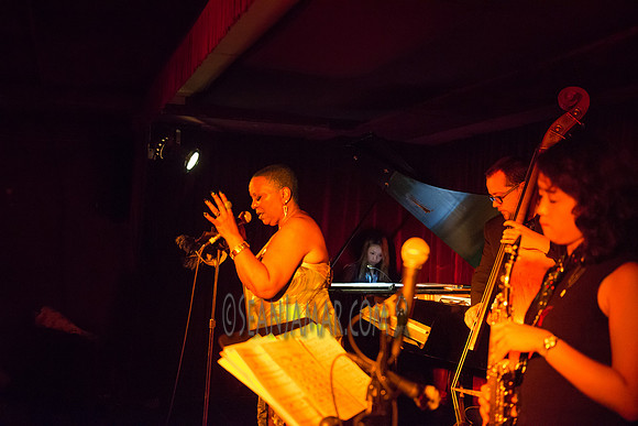 Ms Blu - Zinc Bar - NYC - 2016