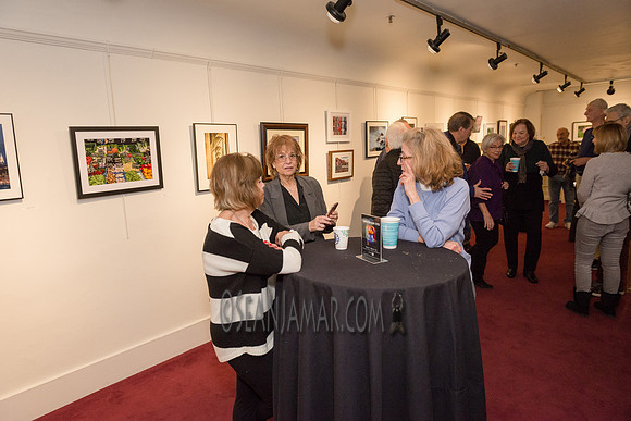 TCC - Through Our Eyes - Sandy Bennett Art Gallery - Bergen PAC - Englewood NJ - 2018