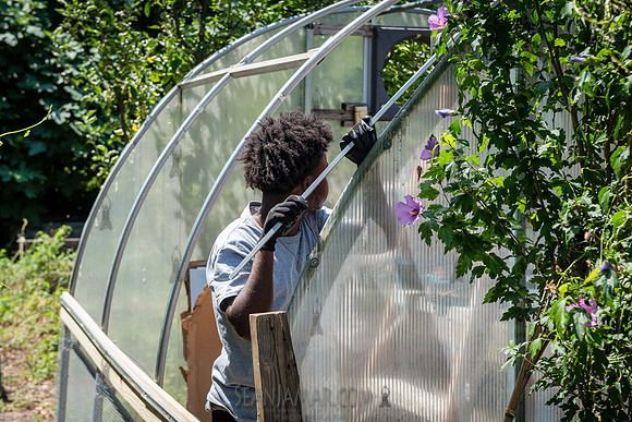 CPF Learning Gardens - Abib Newborn - NYC -2025