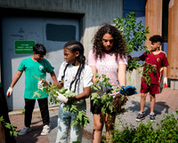 CPF - Coastal Classrooms - Bushwick Inlet Park - NYC - 2025