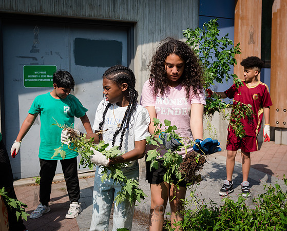 CPF - Coastal Classrooms - Bushwick Inlet Park - NYC - 2025