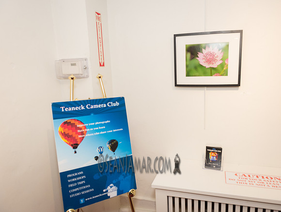 TCC - Through Our Eyes - Sandy Bennett Art Gallery - Bergen PAC - Englewood NJ - 2018