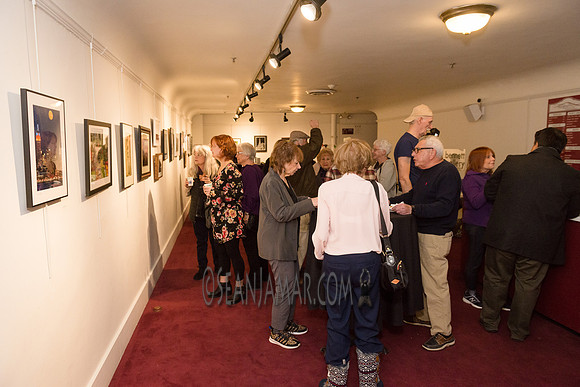 TCC - Through Our Eyes - Sandy Bennett Art Gallery - Bergen PAC - Englewood NJ - 2018