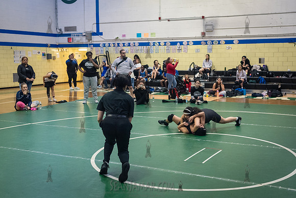 PSAL Girls Individual Championships - Harry S Truman HS - NYC -
