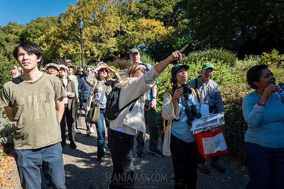 CPF Green Fund - NYC Bird Alliance Accessible Birding - Ft Tryon
