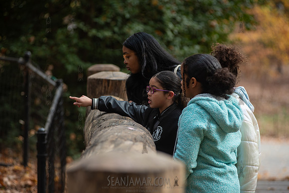 CPF Learn - Seeds To Trees - Prospect Park - NYC - 2024