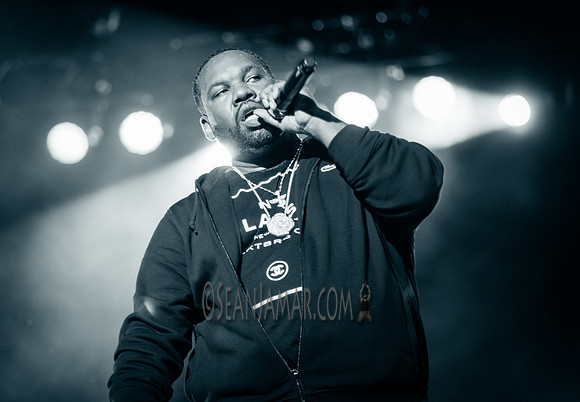 Wu Tang Clan - Roots Picnic - Bryant Park - NYC - 2016