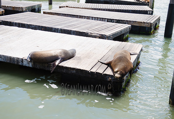 Adventure Day - Pier 39 - San Francisco CA - 2017