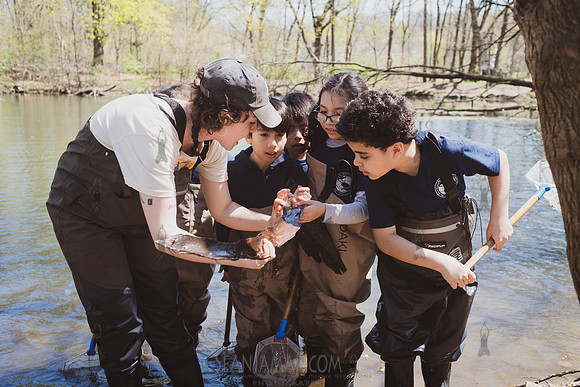 CPF Seeds To Trees - Van Cortlandt Park - NYC - 2024