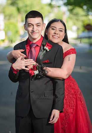 Theresa Prom Shoot - Staib Park - Hackensack NJ - 2019