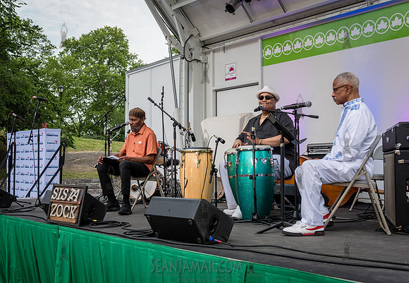 NYC SummerStage - Gil Scott Heron Tribute - St Marys Park - NYC