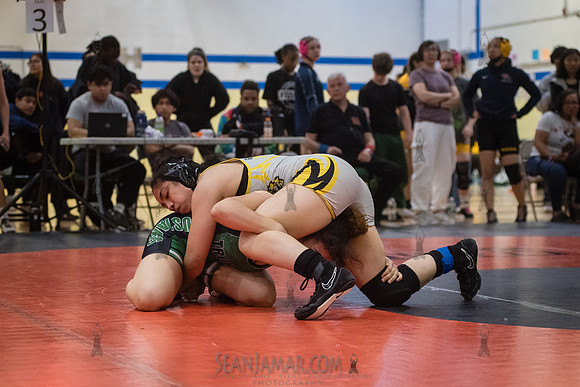 PSAL Girls Individual Championships - Harry S Truman HS - NYC -