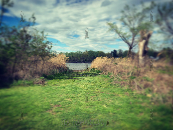 Foschini Park