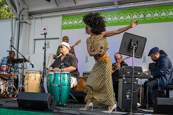 Sista Zock - NYC SummerStage - Gil Scott Heron Tribute - St Mary
