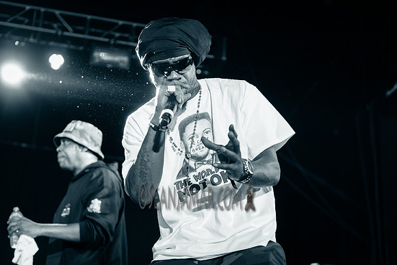 EPMD  & Mr Cheekz - NYC SummerStage - EPMD Unfinished Business 30 Yr Anniversary Party - Crotona Park - 2019