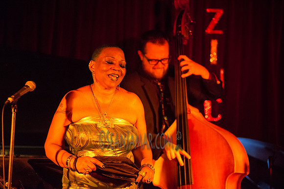 Ms Blu - Zinc Bar - NYC - 2016