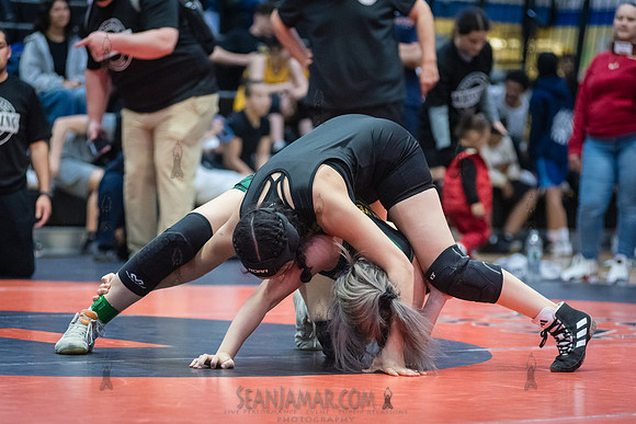 PSAL Girls Individual Championships - Harry S Truman HS - NYC -