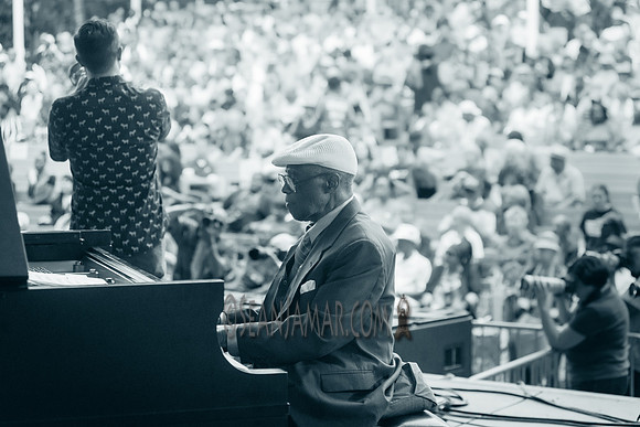 NYC SummerStage - Harlem 100 Mwenso and the Shakes - Marcus Garvey Park - NYC - 2019