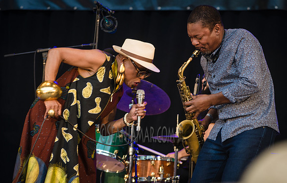 NYC SummerStage - Dee Dee Bridgewater - Marcus Garvey Park - NYC - 2019