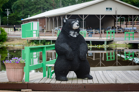 ARUP Company Picnic - Black Bear Lake - Millstone Township NJ -