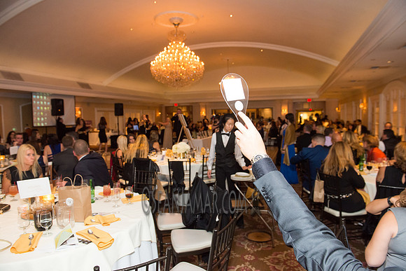 Heart of Gold Gala - The Fiesta - Woodridge NJ - 2016