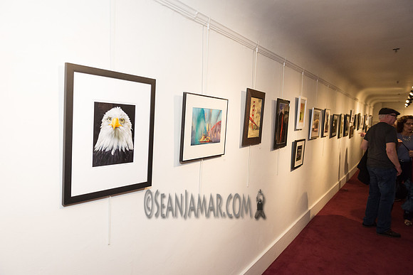 TCC - Through Our Eyes - Sandy Bennett Art Gallery - Bergen PAC - Englewood NJ - 2018