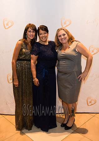 Heart of Gold Gala - The Fiesta - Woodridge NJ - 2016