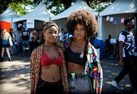 Afropunk Festival - Commodore Barry Park - BK USA - 2013