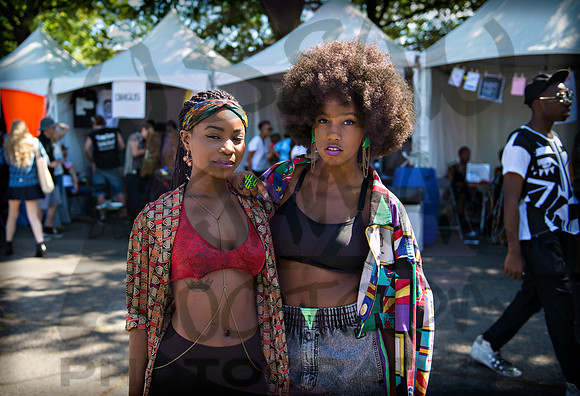 Afropunk Festival - Commodore Barry Park - BK USA - 2013