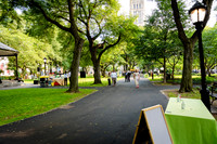 Riverside Park Conservancy - Riverside Revue Gala - Sakura Pak -