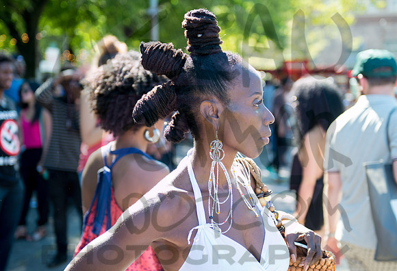 Afropunk Festival - Commodore Barry Park - BK USA - 2013