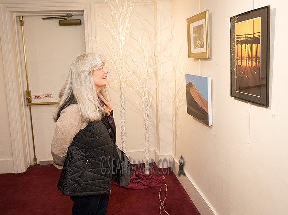 TCC - Through Our Eyes - Sandy Bennett Art Gallery - Bergen PAC - Englewood NJ - 2018