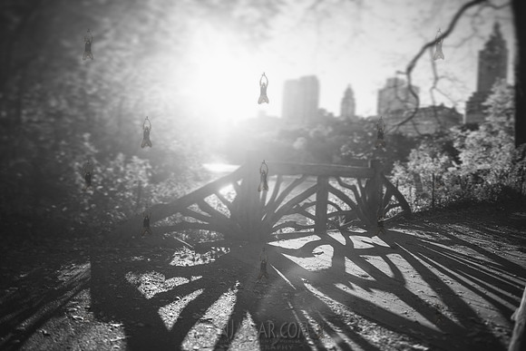 Adventure Day - Central Park - NYC - 2016